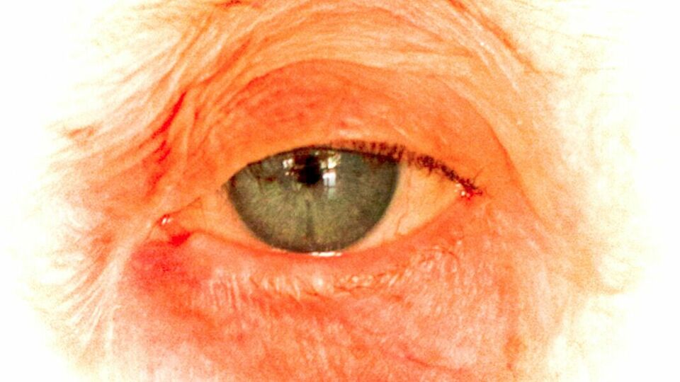 ALFAZINE ESTÁ REPAGINADA ! ENTENDA AQUI