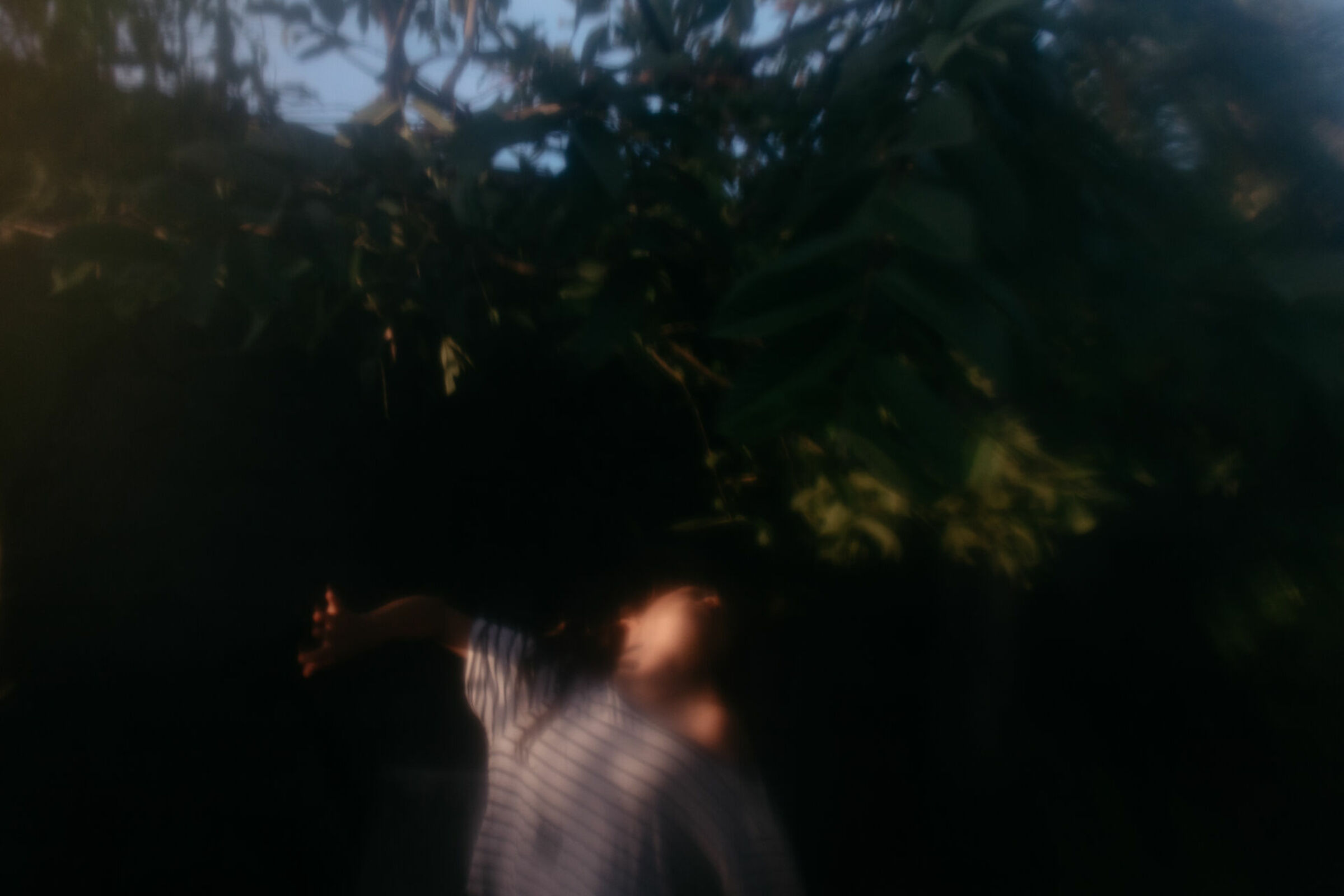 Foto de Alfabetismo Visual 0