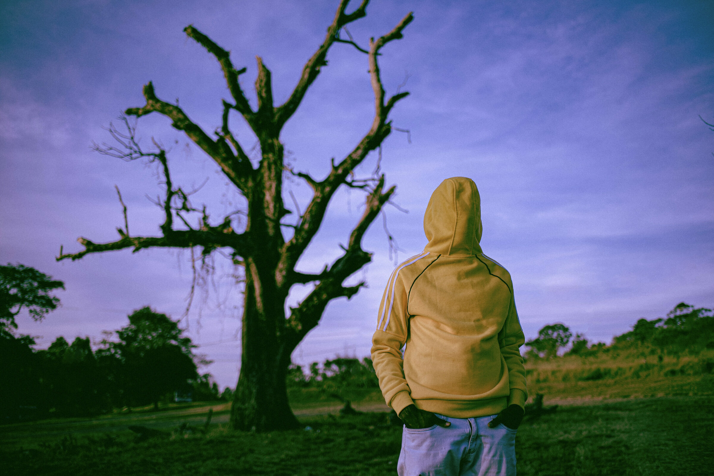 Foto de Alfabetismo Visual 10