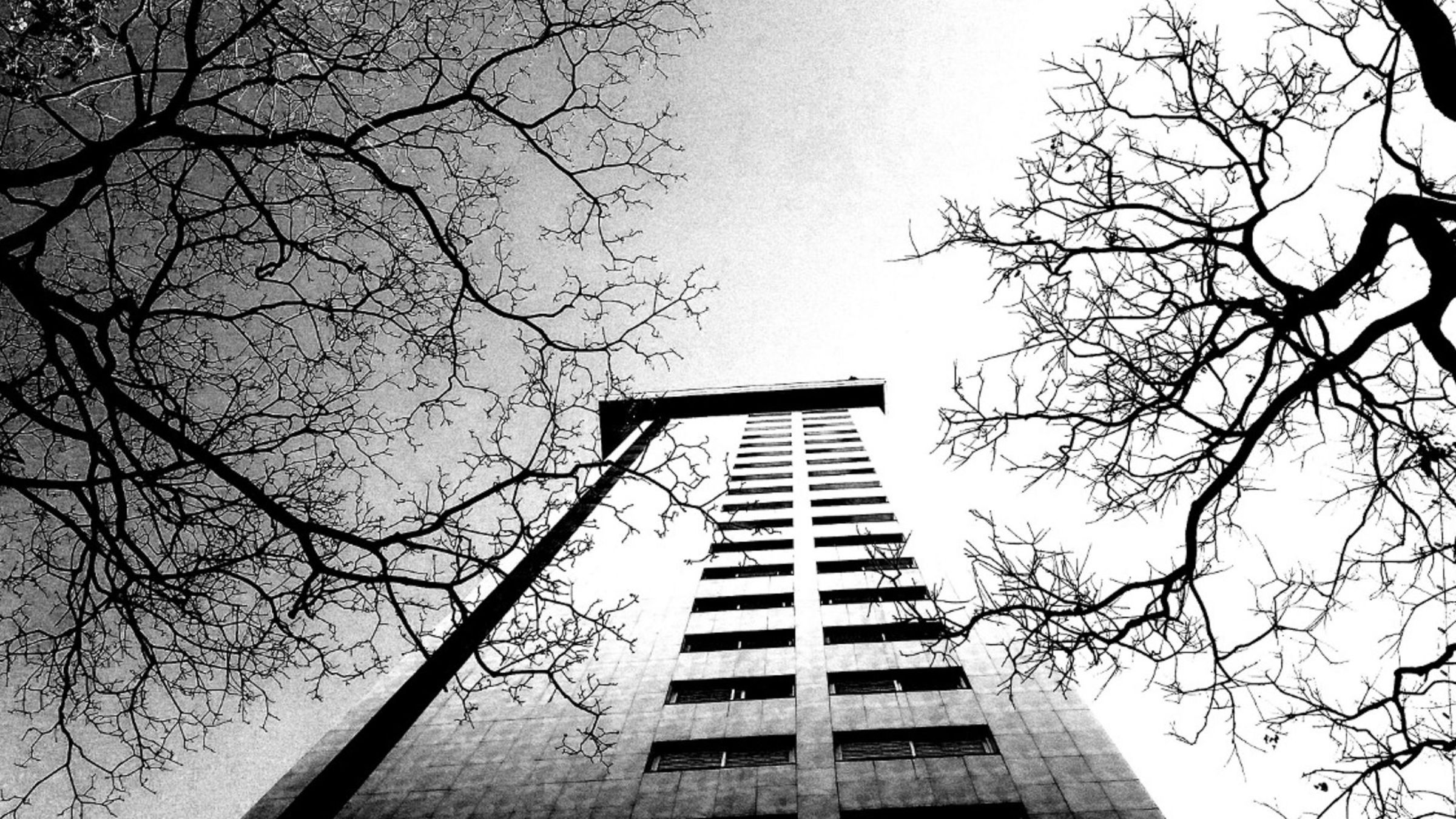 Foto de Alfabetismo Visual 19