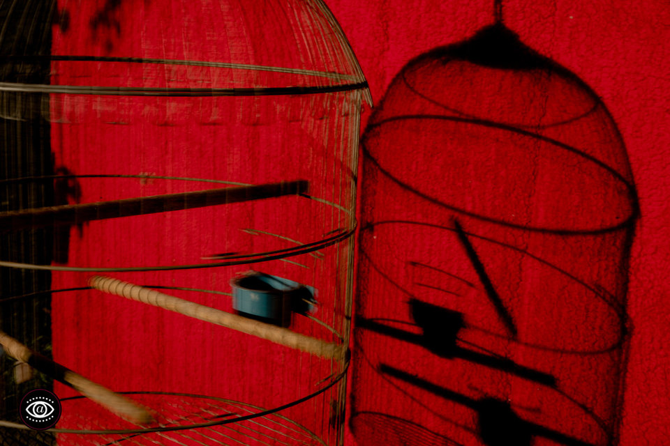 Fotos Premiadas AlfaAwards #01 