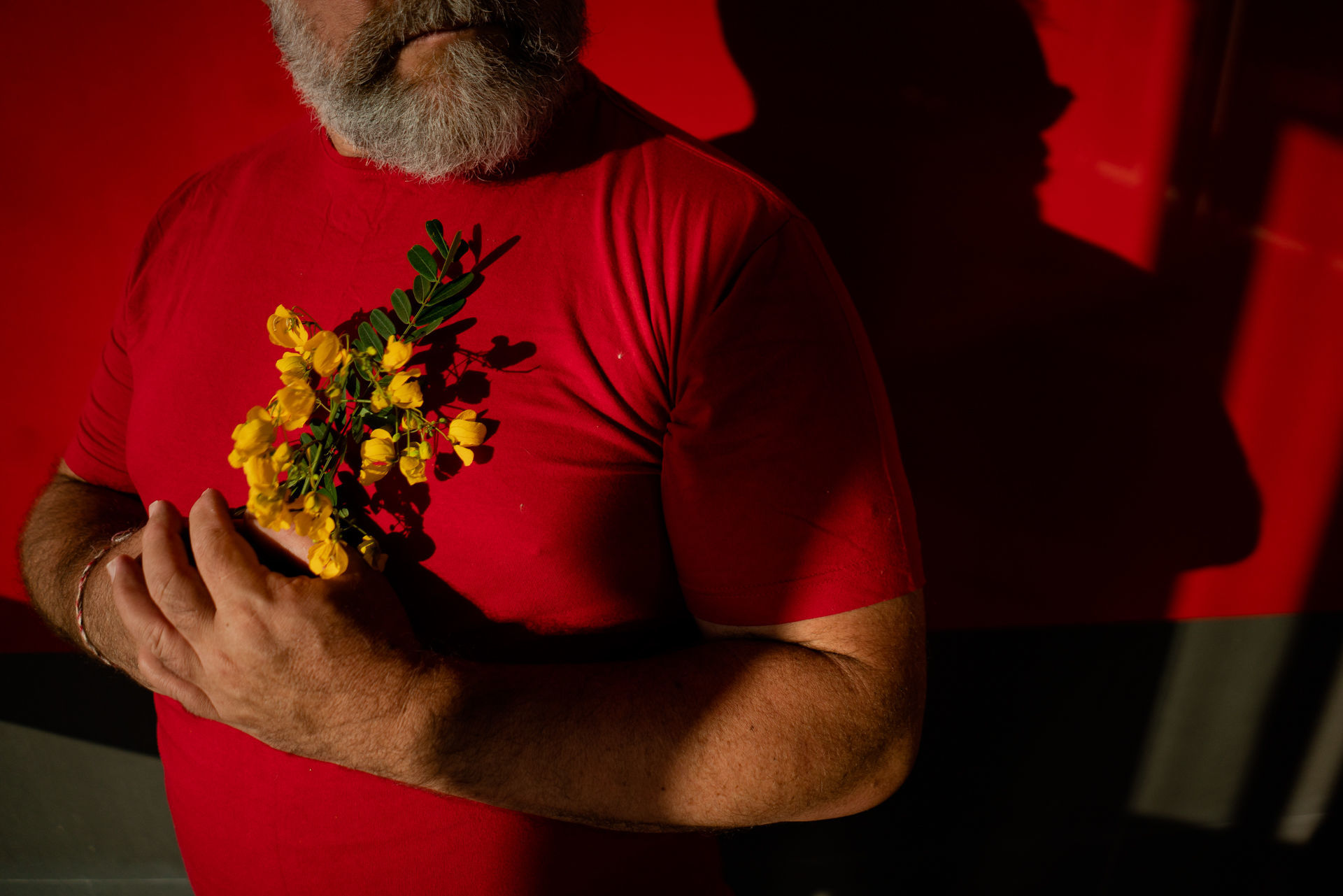 Foto Reconhecendo-se nas Cores/ Paletas/ Tons da sua Fotografia  - Imagem 13