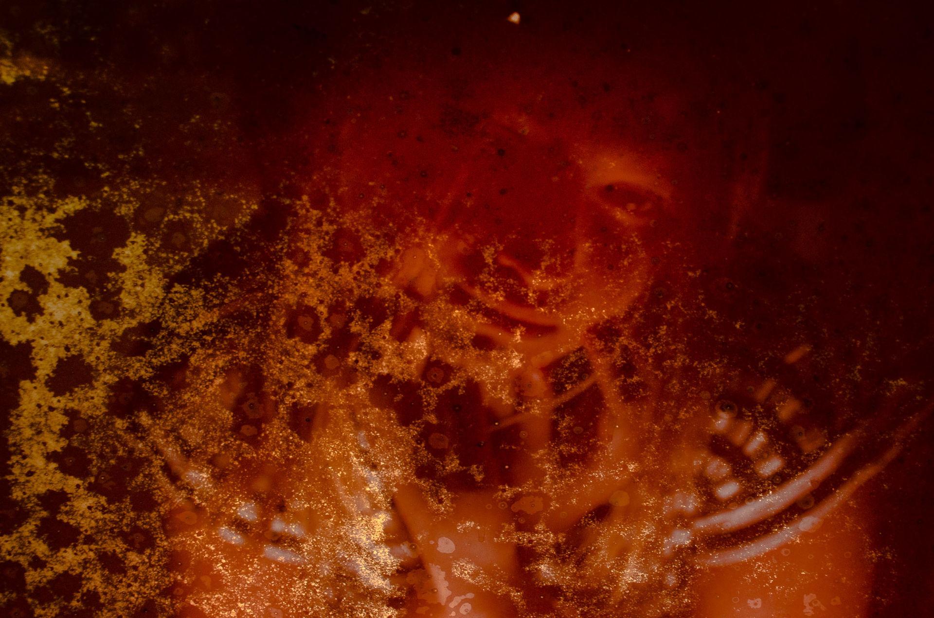 Foto Conheça os fotógrafos das Terças de Alfabetismo - Imagem 10