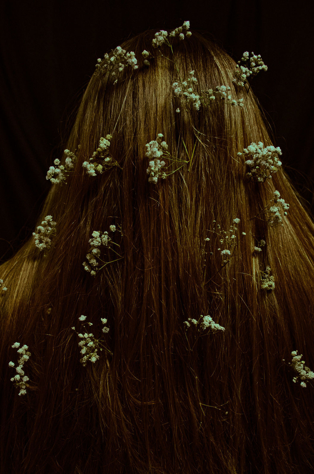 Foto Conheça os fotógrafos das Terças de Alfabetismo - Imagem 13