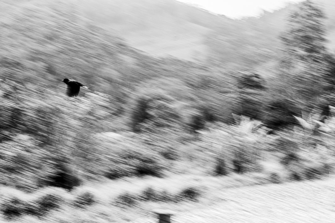Foto Conheça os fotógrafos das Quintas de Alfabetismo Foto Conheça os fotógrafos das Quintas de Alfabetismo - Imagem 38