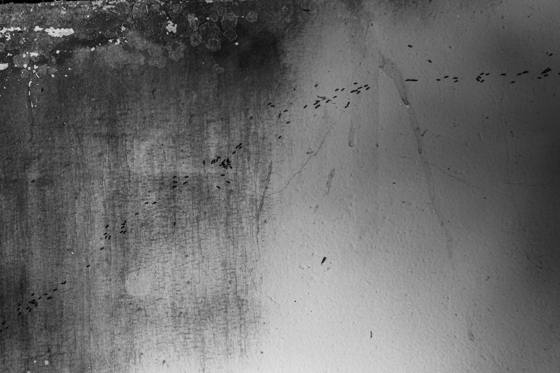 Foto Poliana Pereira / The Female Gaze Foto Poliana Pereira / The Female Gaze - Imagem 3