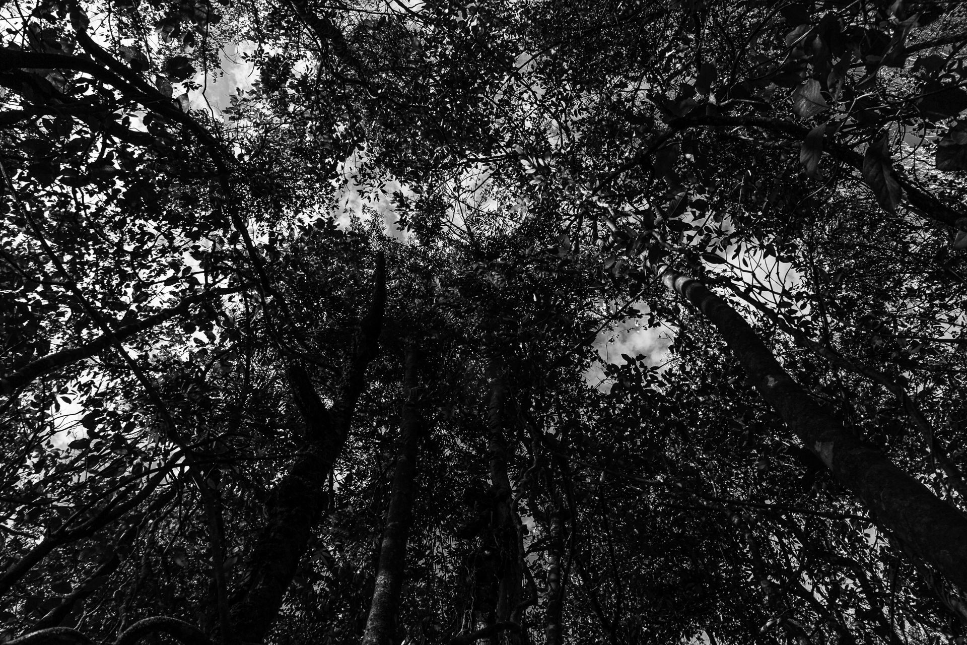 Foto Poliana Pereira / The Female Gaze Foto Poliana Pereira / The Female Gaze - Imagem 9