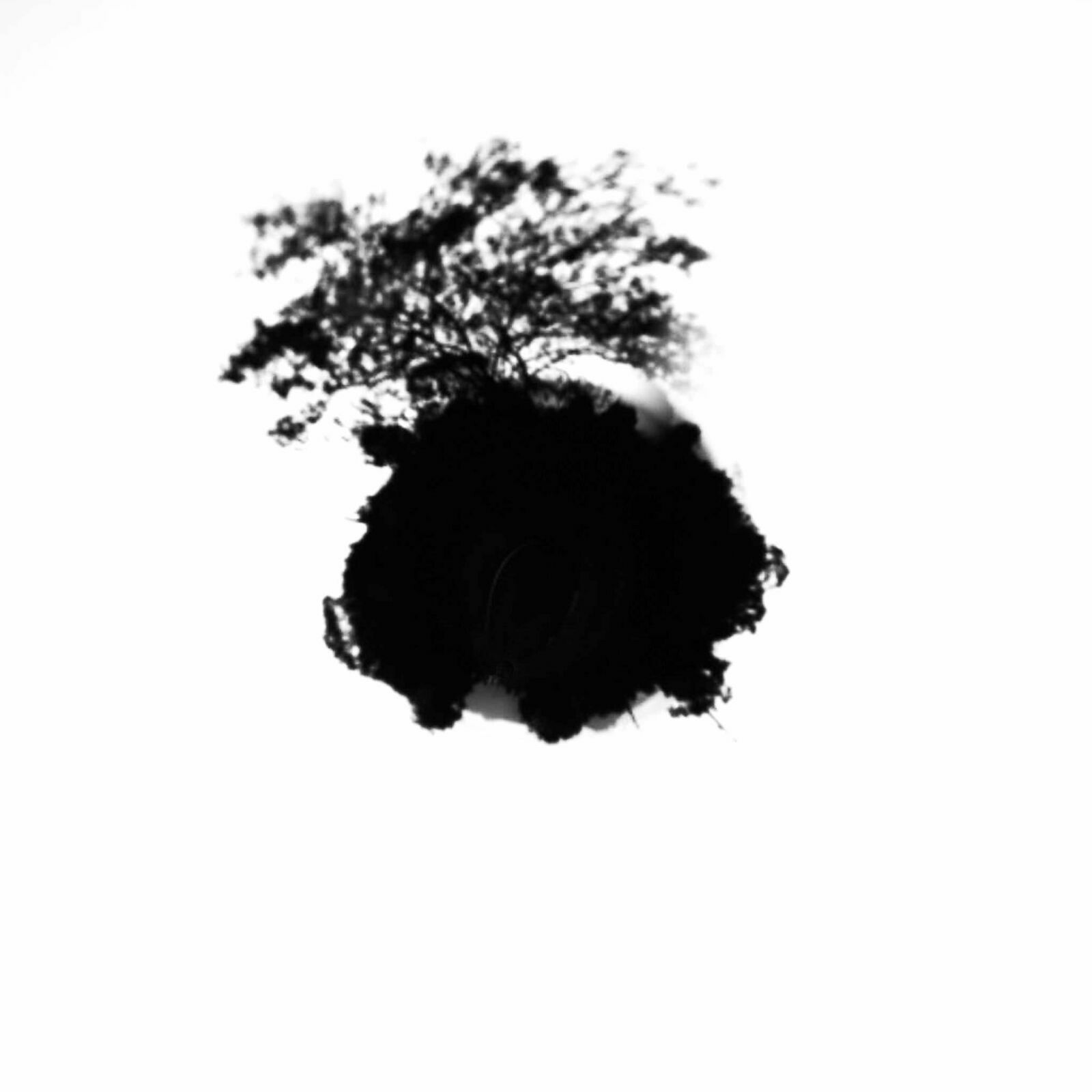 Foto AlfaAgency e Atualizações Novos Membros e Presidente 2021 - Imagem 18