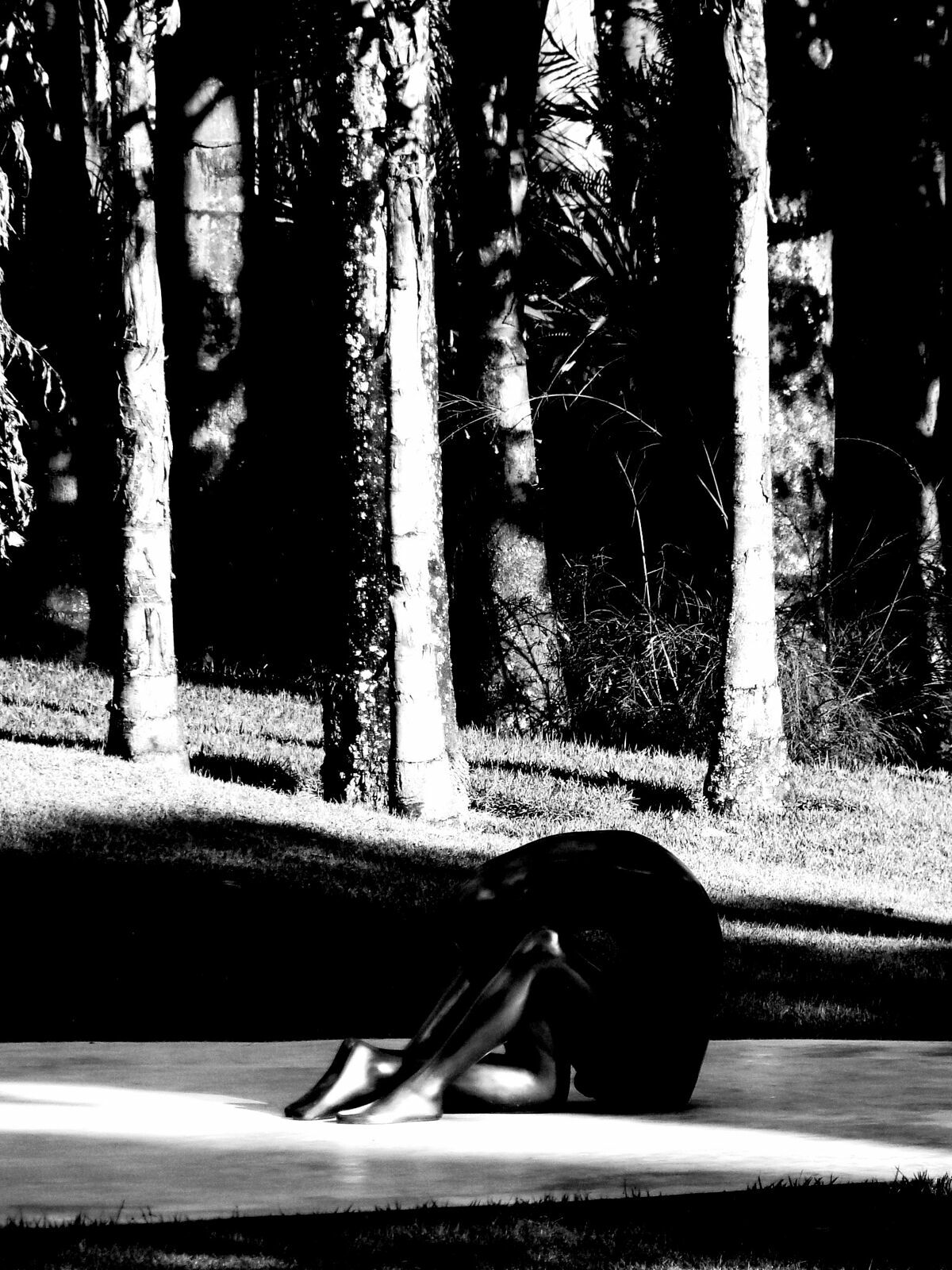 Foto AlfaAgency e Atualizações Novos Membros e Presidente 2021 - Imagem 60