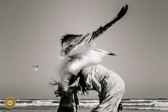 ALFAWARDS 2021 CONCURSO VIDEO PREMIADAS